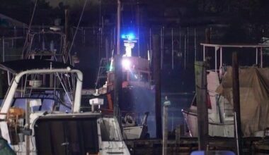 Suspect jumps into water to evade New York City cops | News