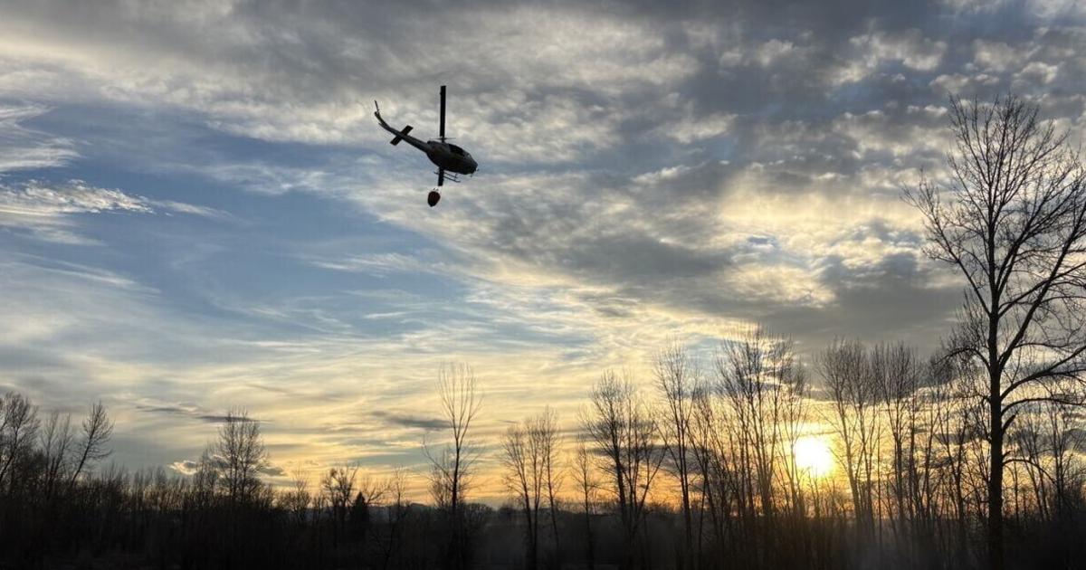 Multiple agencies defeat Central Park Fire near Manhattan | State