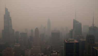 Readers sound off on Hochul's climate reversal, tracking gas prices and ICE lies