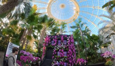 Yahoo lifestyle home