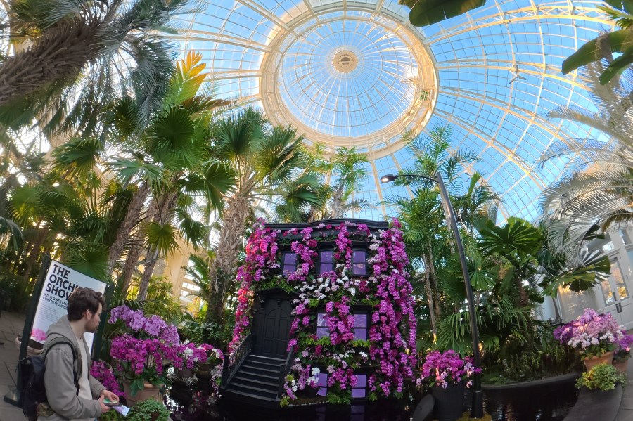 Yahoo lifestyle home