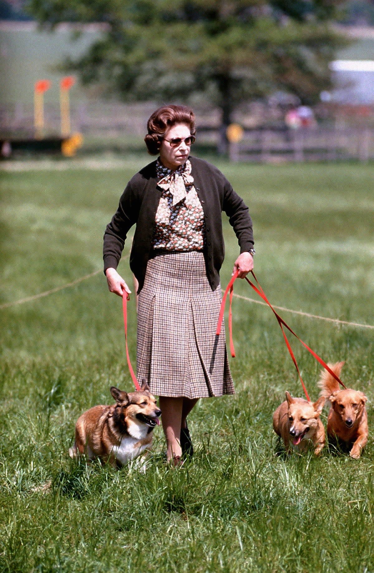 Queen Elizabeth II with some of her corgis walking the Cross Country course during the second day of the Windsor Horse Trials (PA)