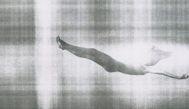 “HARD COPY NEW YORK” - Criticism