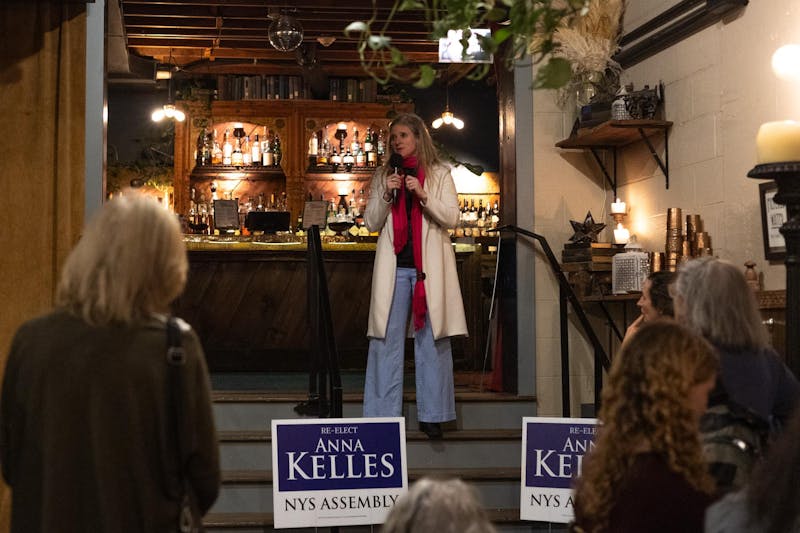 Progressive N.Y. State Rep. Anna Kelles Launches Bid for Fourth Term