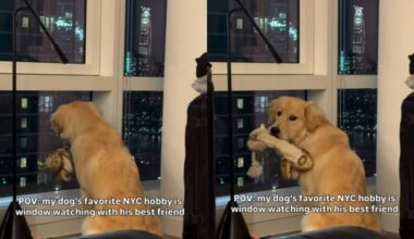 Yahoo lifestyle home