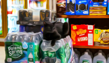 Yahoo lifestyle home