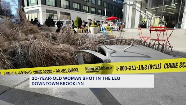 News 12 | Connecticut | Woman injured in Downtown Brooklyn shooting