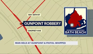 News 12 | Brooklyn | Man pistol-whipped during attempted robbery in Bath Beach