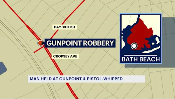 News 12 | Brooklyn | Man pistol-whipped during attempted robbery in Bath Beach