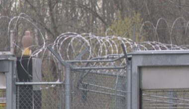 Debate grows over elder parole bill in New York