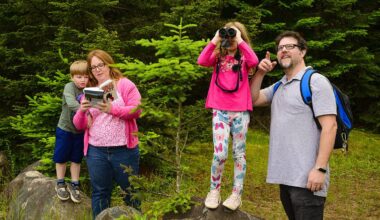 DEC announces 2026 I BIRD NY Challenge