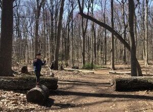 Alley Pond hike. Diana Kim