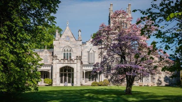 A pink cherry blossom tree blooms in front of Lyndhurst Castle on a bright spring day