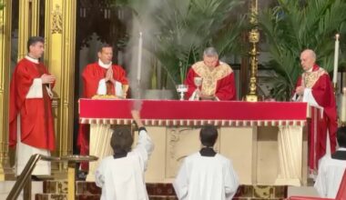 First Palm Sunday under Archbishop Hicks – NBC New York