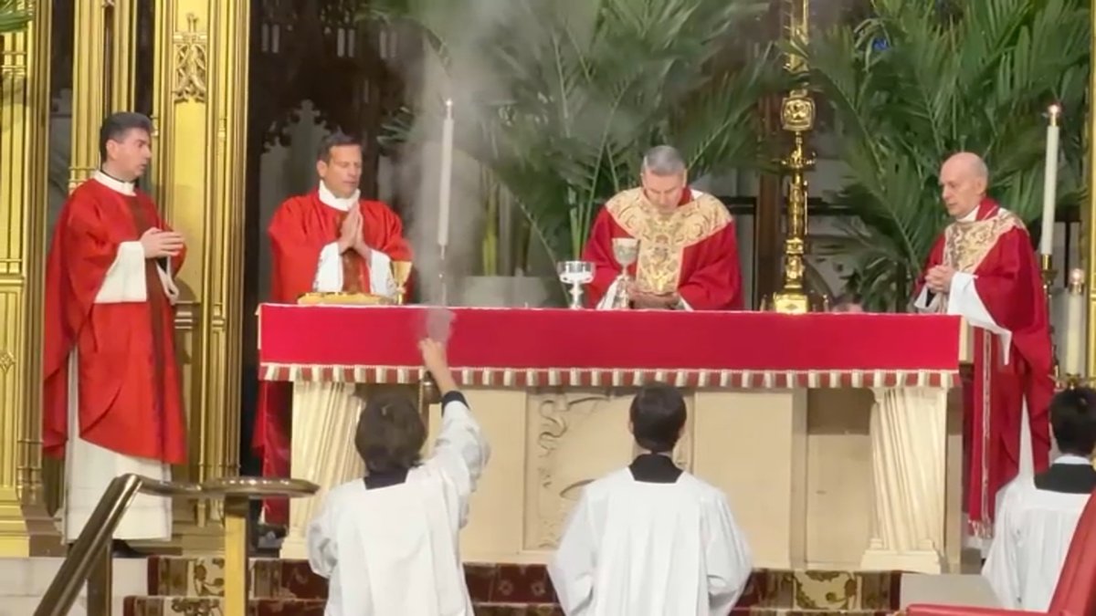 First Palm Sunday under Archbishop Hicks – NBC New York