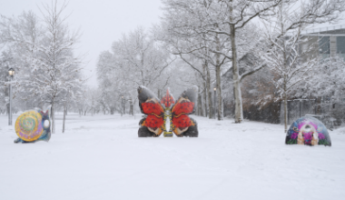 City Life Org - Applications to Bring Bold New Public Art to Flushing Meadows Corona Park Now Open