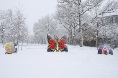 City Life Org - Applications to Bring Bold New Public Art to Flushing Meadows Corona Park Now Open