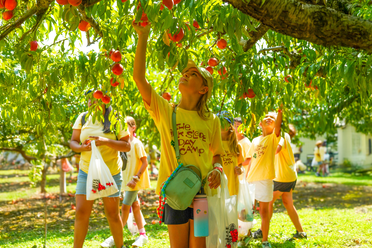 Tips for Choosing a Summer Camp: What Actually Matters (sponsored) | Brooklyn Bridge Parents