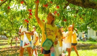 Tips for Choosing a Summer Camp: What Actually Matters (sponsored) | Brooklyn Bridge Parents