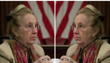 A Gale Brewer Imposter Scammed NYC’s Pension Fund Out of $32,980