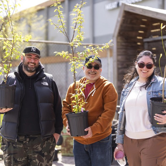 Get a Free Tree in NYC Just in Time for Earth Day! 