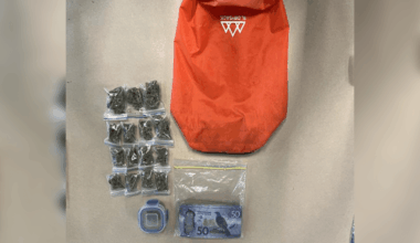 Bag with weed, cash accidentally donated to New Zealand charity shop – NBC New York