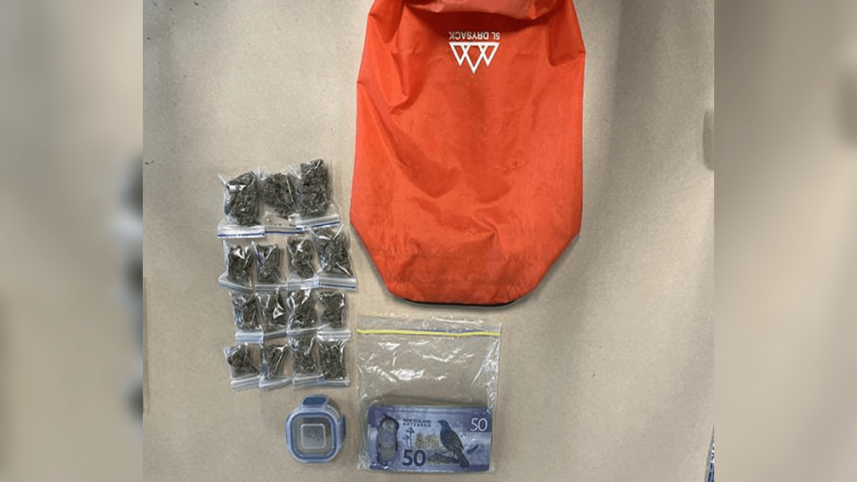 Bag with weed, cash accidentally donated to New Zealand charity shop – NBC New York