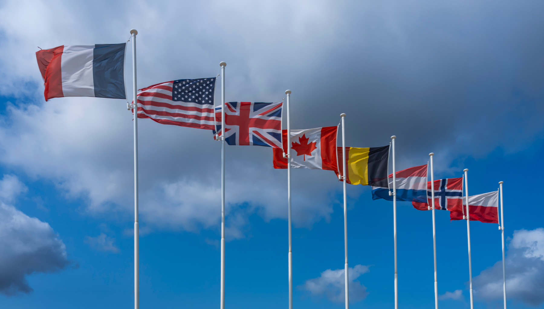 Five decades shaping international defence policy