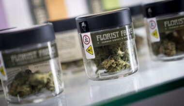 Cannabis lawyer on five years of legal industry in N.Y.