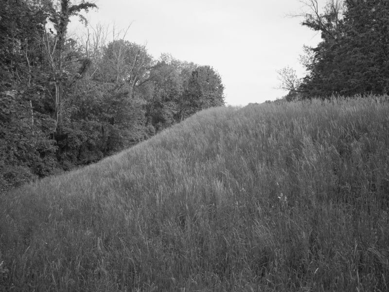 A black-and-white photo of a grassy hill sloping upward, bordered by dense, leafy trees on both sides under a bright, overcast sky.