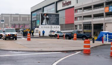 Car thief escapes cops by diving into Brooklyn creek; partner arrested