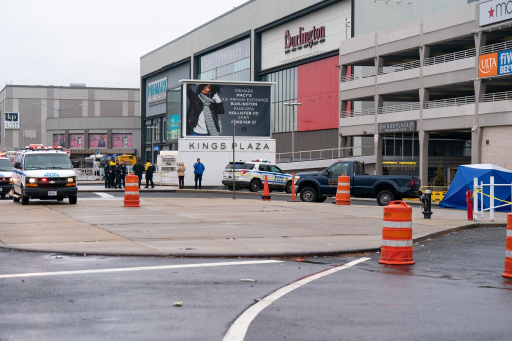 Car thief escapes cops by diving into Brooklyn creek; partner arrested