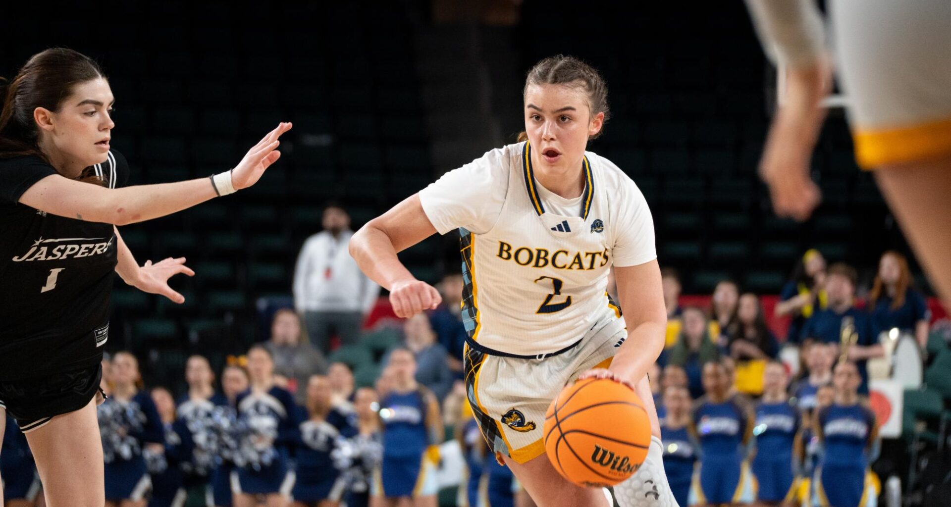 - The Quinnipiac Chronicle