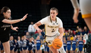 - The Quinnipiac Chronicle