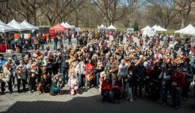 Hundreds of dogs have their day in Bark in the Park in Central Park