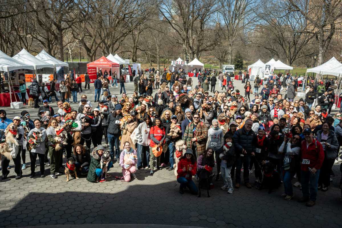 Hundreds of dogs have their day in Bark in the Park in Central Park
