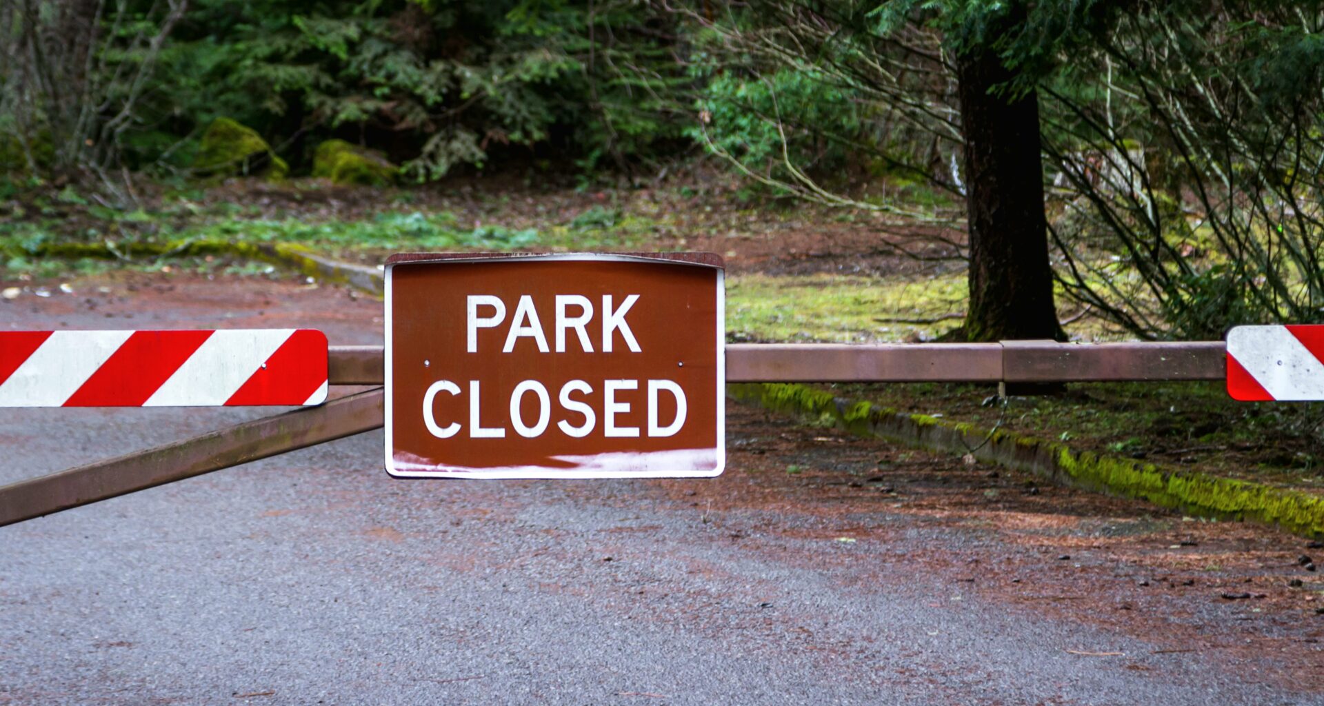 New York City To Invest $50 Million To Reconstruct 10 Parks | The Bronx Daily