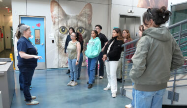 Gabelli School Students Lend a Hand to Furry Friends