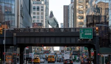 Dinosaur, the pigeon sculpture on the High Line