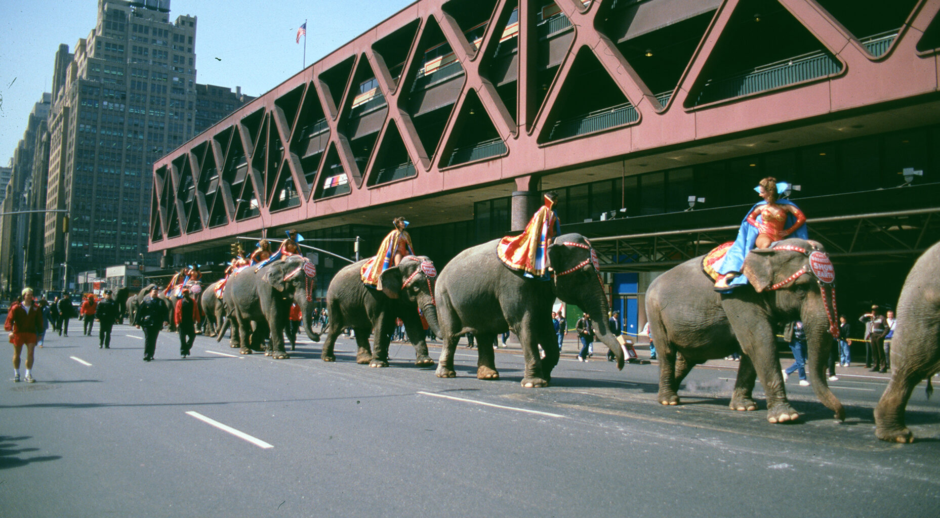 Elephants, Porn Theaters and Hunky Firefighters — Four Decades of New York Hidden in Port Authority
