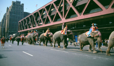 Elephants, Porn Theaters and Hunky Firefighters — Four Decades of New York Hidden in Port Authority