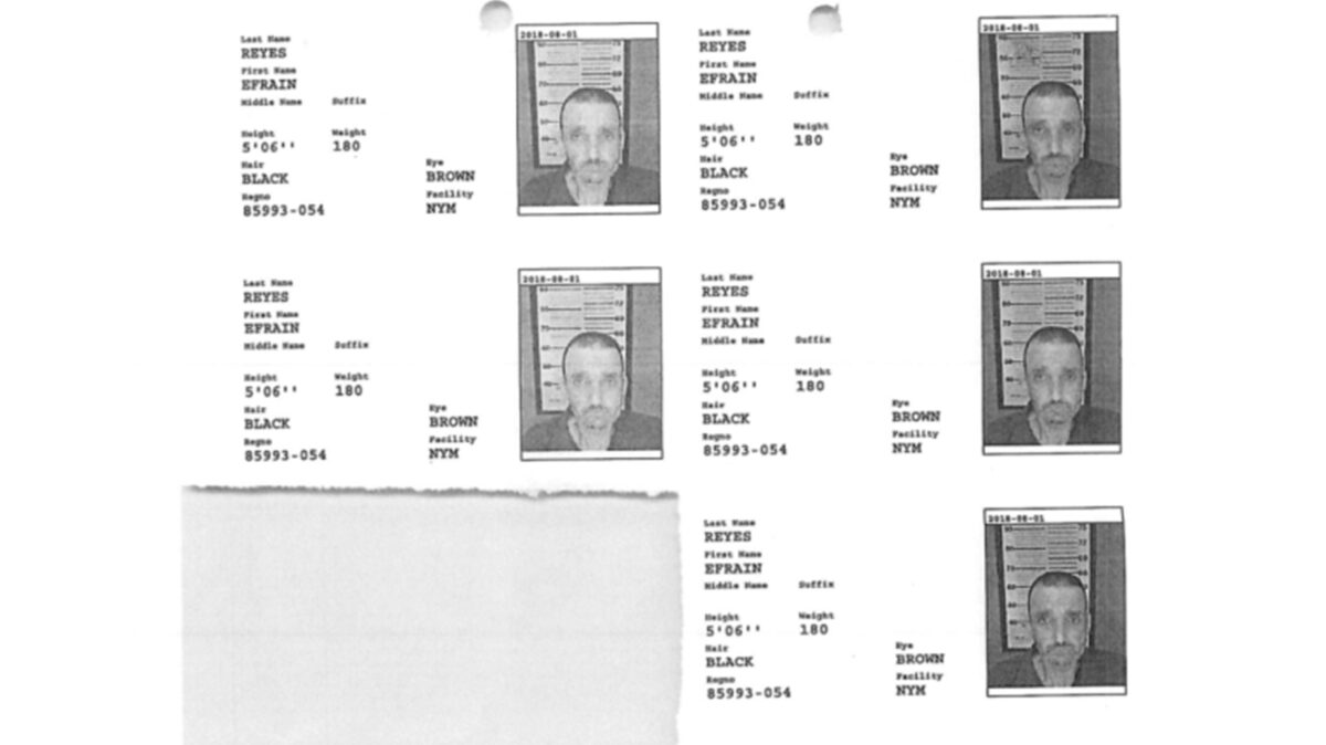 Epstein cellmate Efrain Reyes