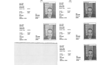 Epstein cellmate Efrain Reyes