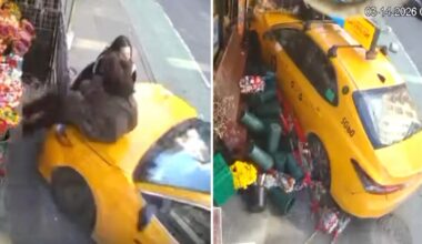 Two Women Miraculously Survive After Taxi Smashes Into Them, Rams Through a Manhattan Bodega – National Enquirer