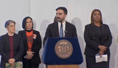 Public housing tenants were finally being welcomed into the city’s “Rental Ripoff” hearings. (Spectrum News NY1)