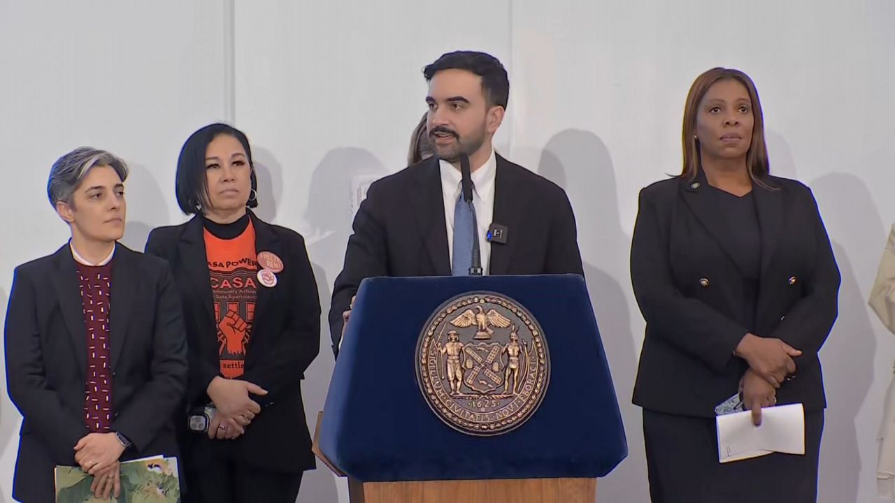 Public housing tenants were finally being welcomed into the city’s “Rental Ripoff” hearings. (Spectrum News NY1)