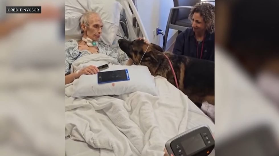 Mr. Spencer, a terminally ill patient at a New York hospital, was granted his dying wish to...
