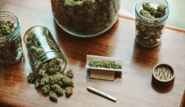 Queens Man Pleads Guilty to Causing Fatal Crash