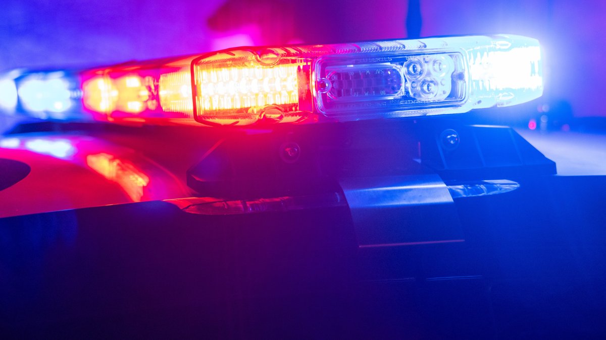 Brooklyn man dies after driving into a tree in Pomfret overnight, state police say – NBC Connecticut