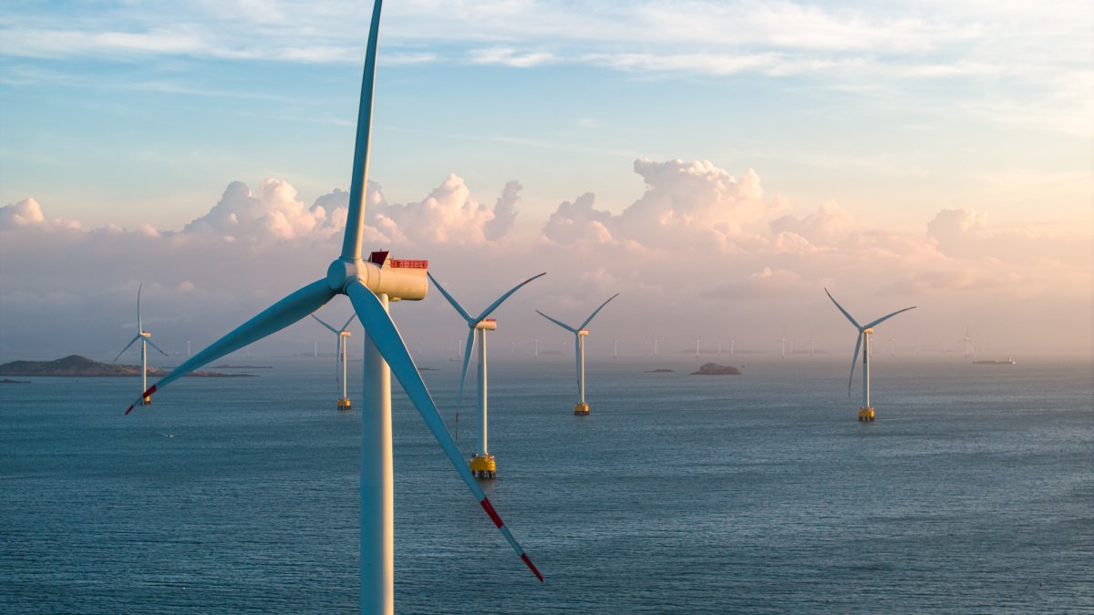 Trump administration paying TotalEnergies $1B to cancel wind farm projects – NBC New York